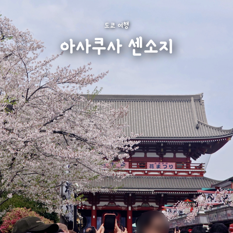  [도쿄여행] 벚꽃시즌 봄에 다녀온 도쿄 아사쿠사 센소지 방문기