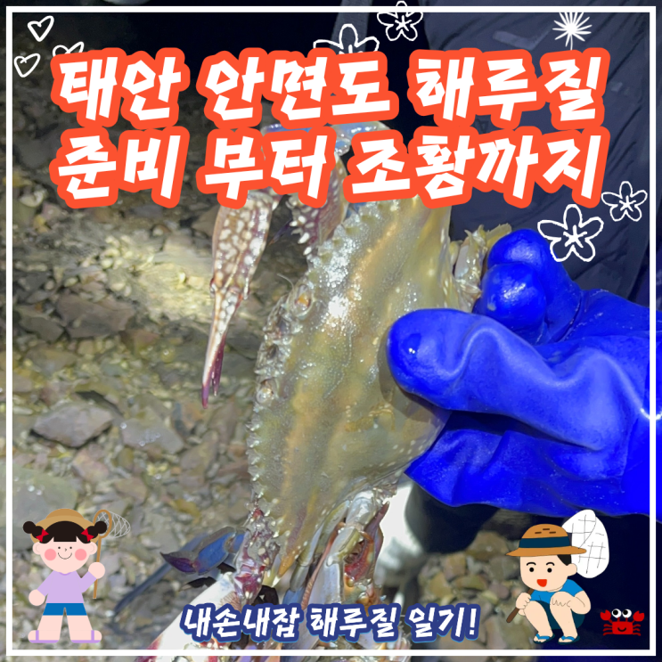  안면도 태안 해루질 조황 준비 물때표 유의사항 까지!