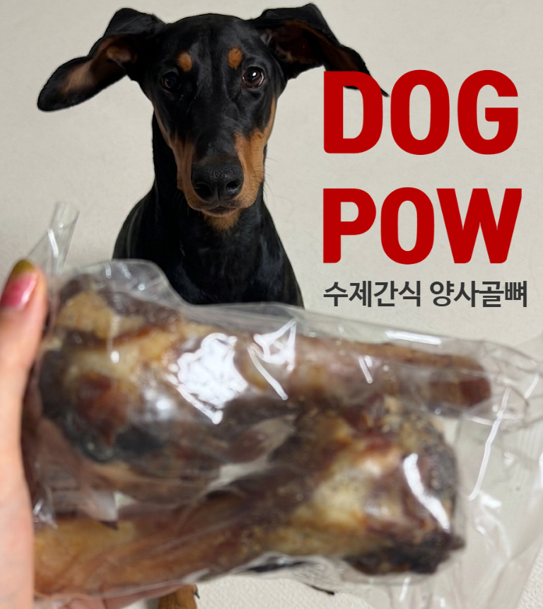 사진 4