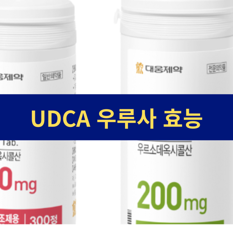  UDCA 우루사 효능 및 성분 차이 | 간 건강 간 영양 우르소데옥시콜산 용량 차이점