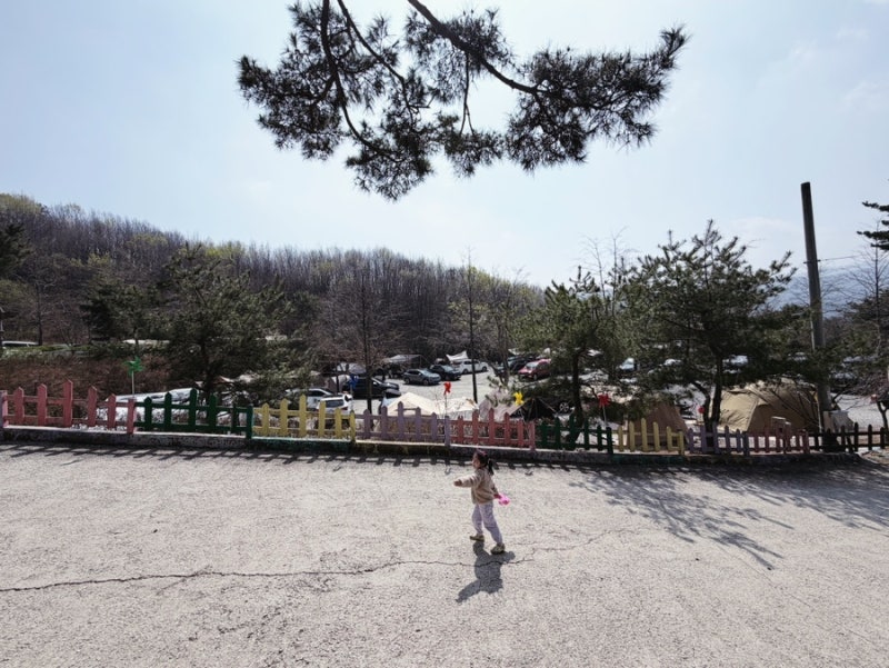 Yongin Danpungsup Campground Rabbit Site 7 Review, Great for Kids (Facilities/Playground/Pros & Cons)