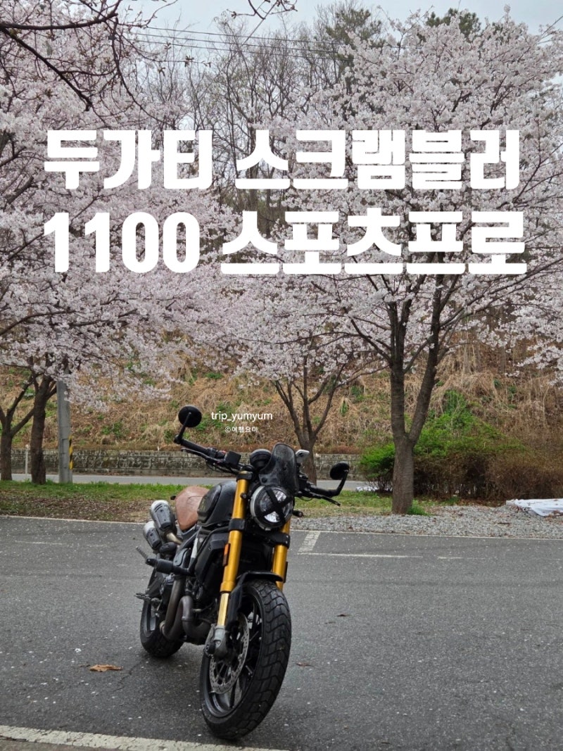 두카티 스크램블러 1100 스포츠 프로 실 사용 후기 텐덤 튜닝 오토바이 정보