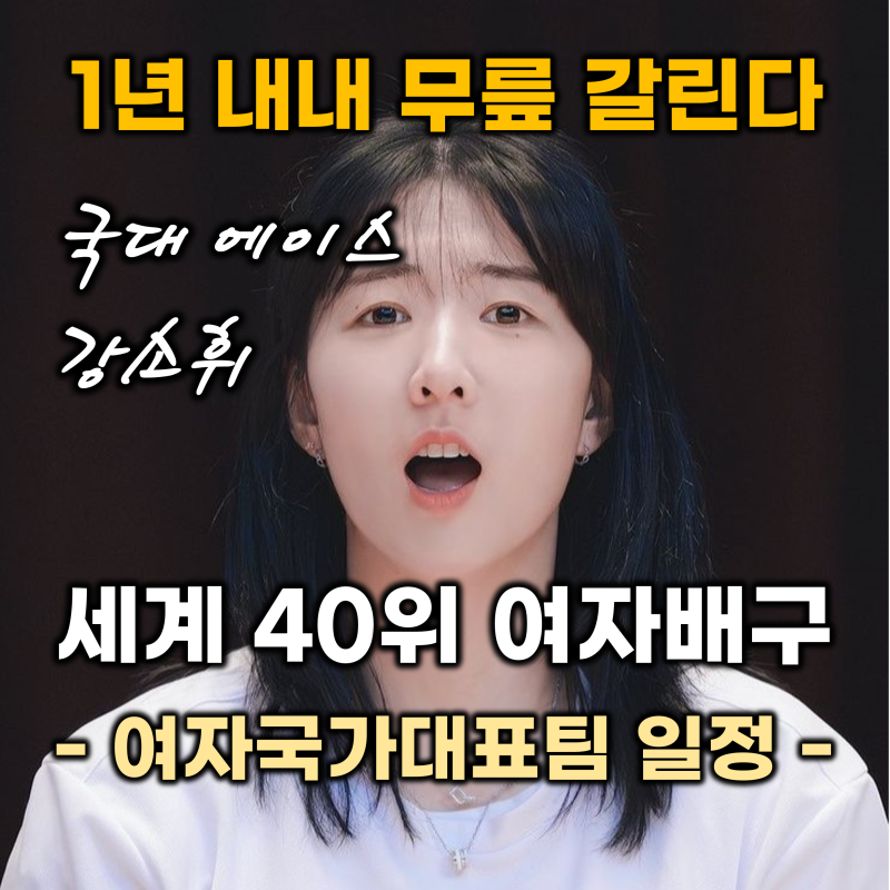 2026 여자배구 국가대표팀 명단 (차상현 감독 이숙자 코치 2026 배구 국제 대회 일정, 세계순위 ....