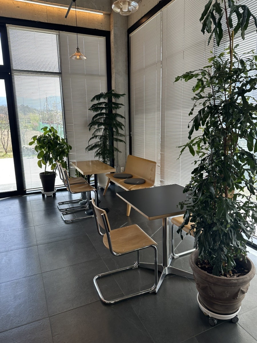랑데뷰 사진 6