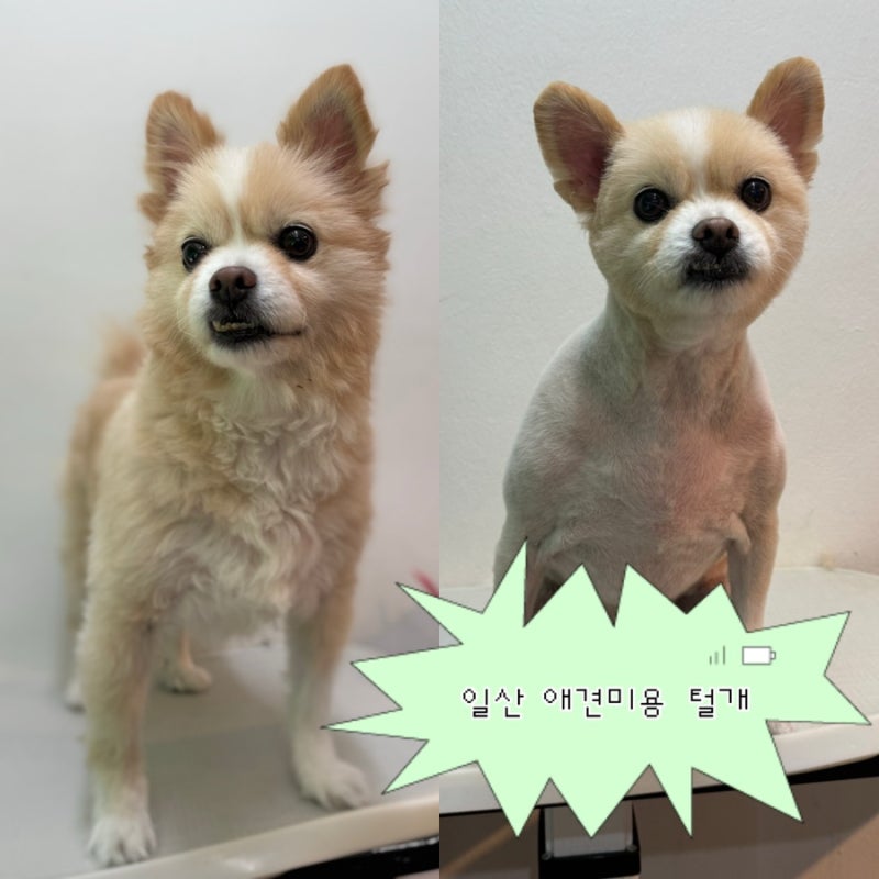 털개