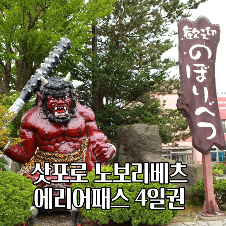  JR 홋카이도 에리어 패스 4일권 삿포로 노보리베츠 총정리