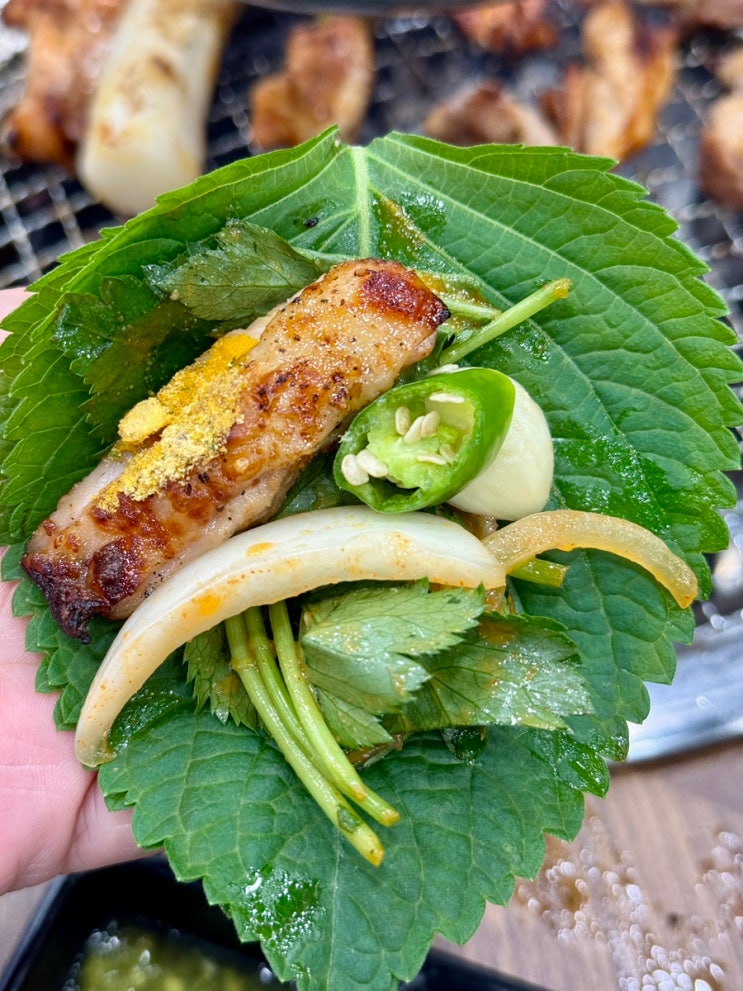  의정부 용현동 숯불 닭갈비 내돈내산 맛집 추천(전체메뉴,가격)