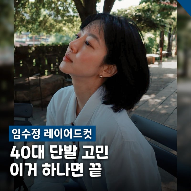 "단발병 원인 찾았다.." 임수정 40대 단발 레이어드컷 보브컷 특징