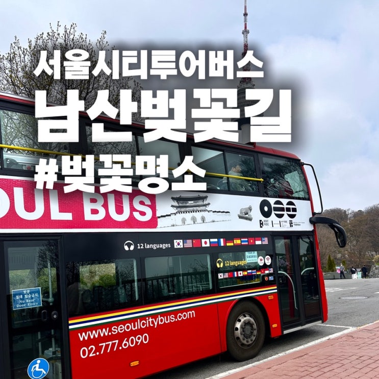 서울시티투어버스 타고 남산타워 벚꽃 나들이  명당 코스 & 이용 꿀팁 총정리