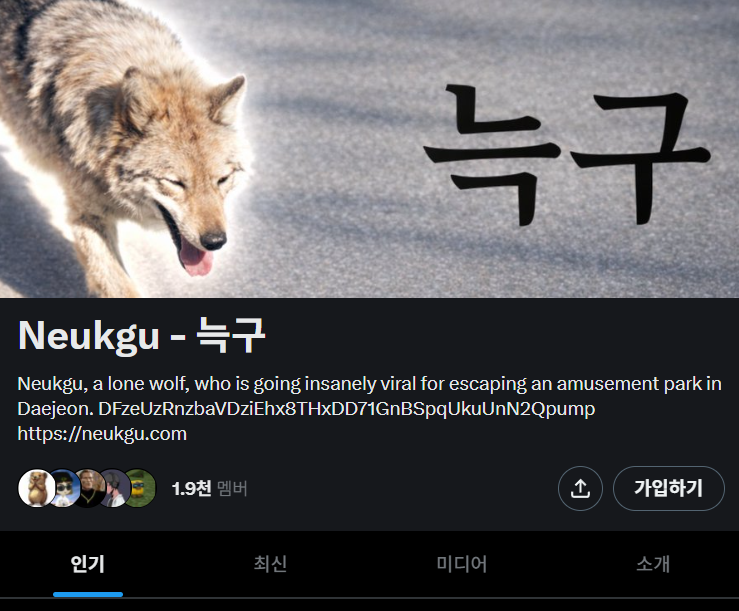  "나 잡을 수 있겠어?" 탈출한 늑구, 코인 시장까지 집어삼킨 역대급 '밈'의 탄생