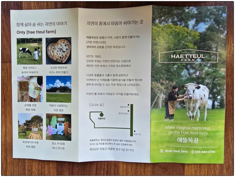 경남 하동 아이랑 가볼 한곳 | 해뜰목장 체험 후기 + 피자 만들기 + 동물 먹이주기 총정리