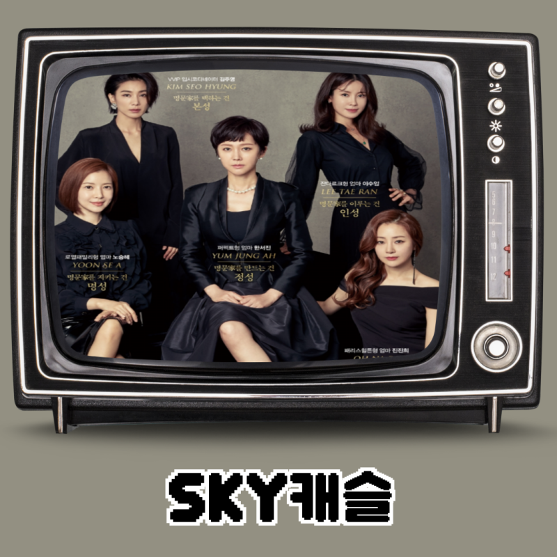 드라마 'SKY캐슬' 기본정보 등장인물 결말해석, OTT 넷플릭스 블랙코미디 한국 드라마 추천