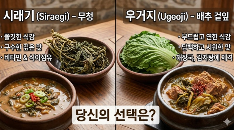 시래기 VS 우거지 무엇이 다를까. 당신의 선택은?