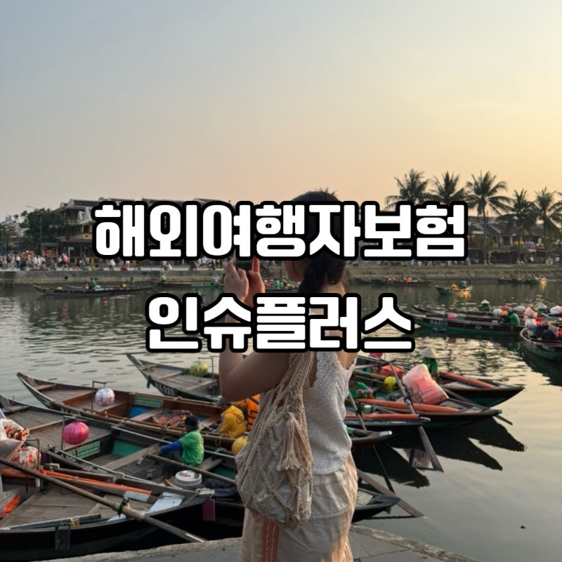 베트남 여행 준비 단기 해외여행자보험 인슈플러스