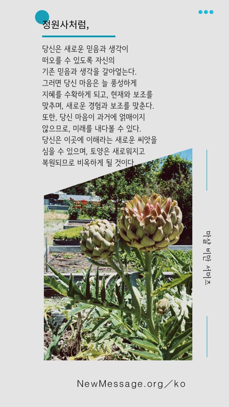  나는 이것에 공감하지 않아 | 나의 기존 믿음과 생각에 맞지 않아