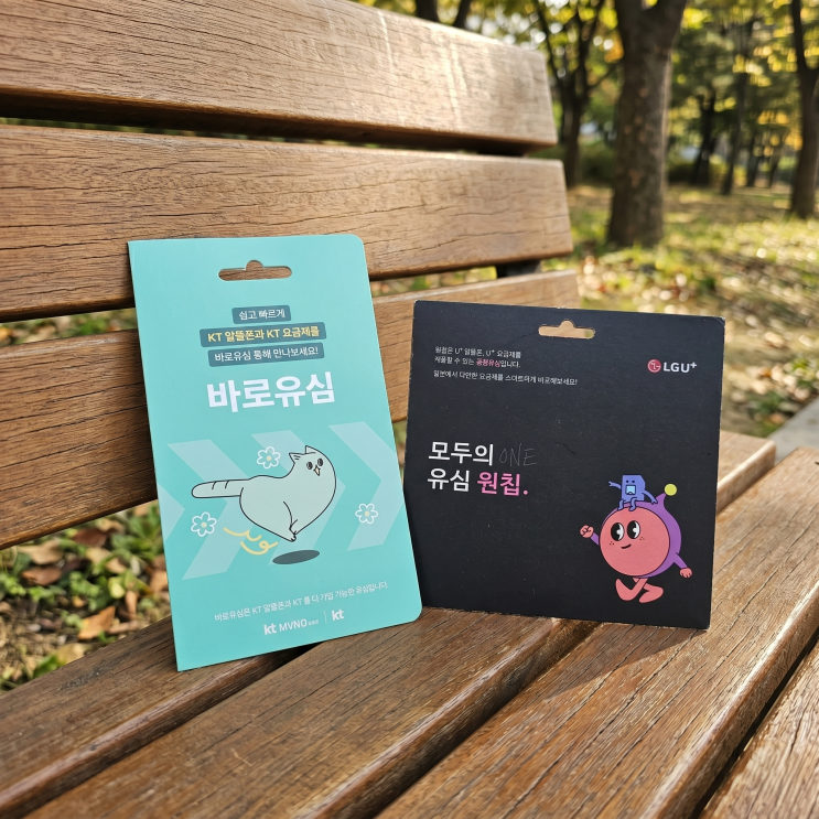  아직도 대리점 가세요? 집에서 끝내는 KT LG 편의점 선불유심 개통법