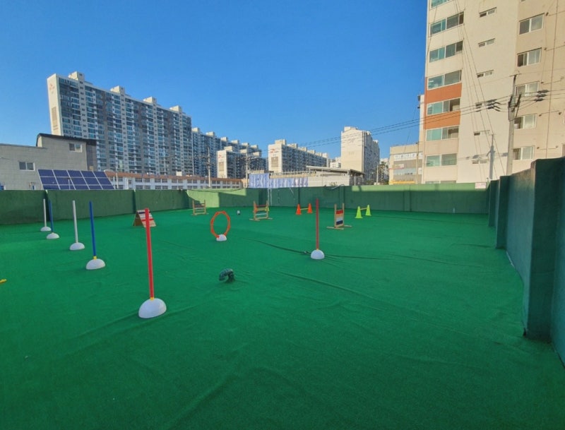 사진 3