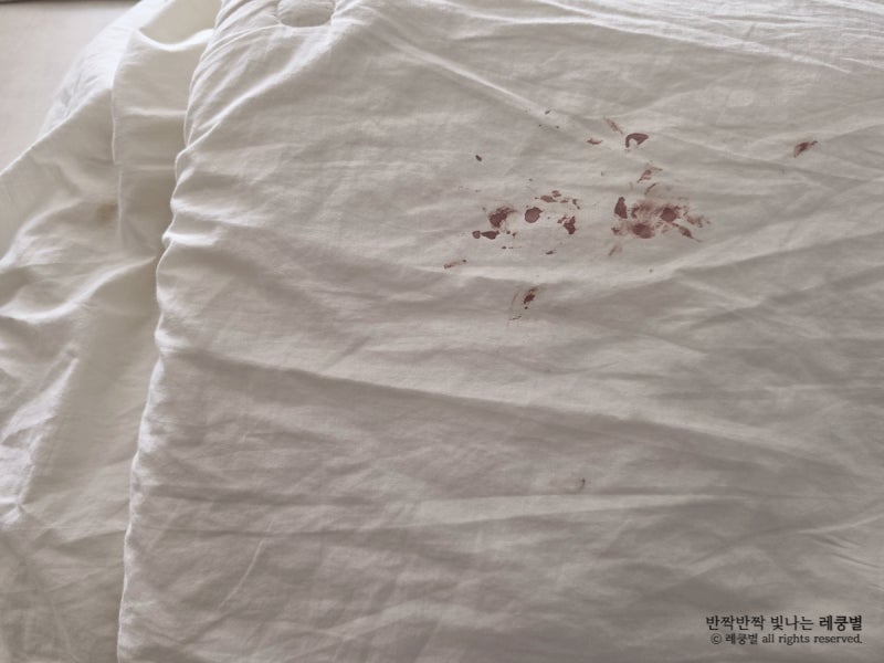 오래된 이불핏자국 피얼룩제거 실패없는 피지우는방법