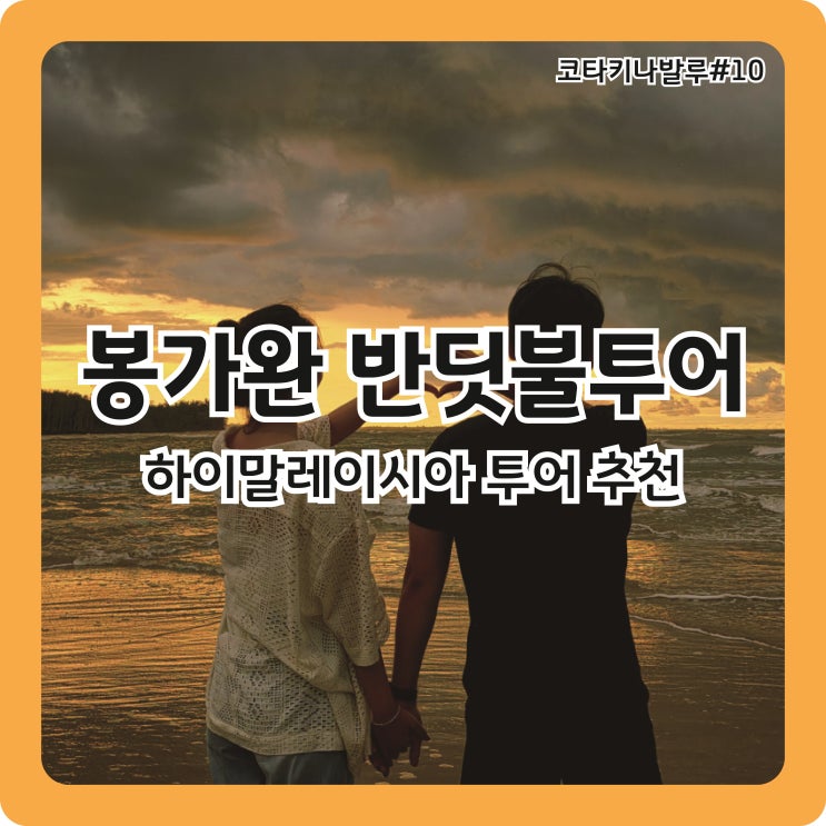  코타키나발루 봉가완 반딧불 투어(켈리, 맹그로브, 원숭이, 선셋)