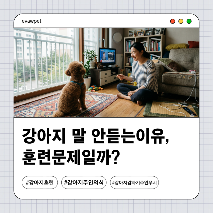  강아지 갑자기 주인 무시하는 이유, 훈련 문제 아닐 수도 있습니다