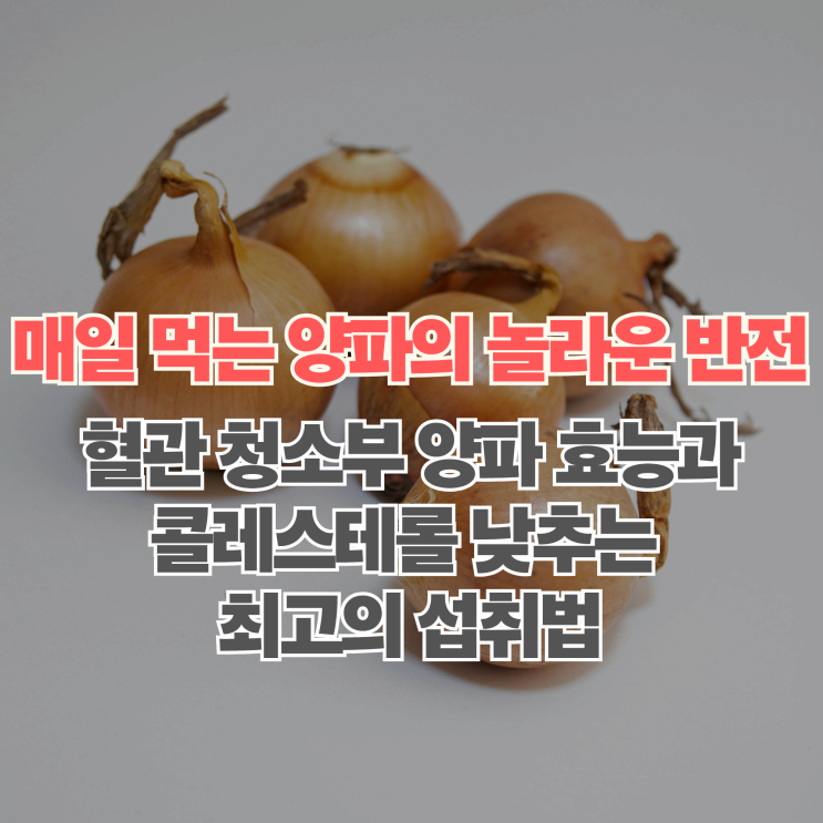  혈관 청소부 양파 효능과 나쁜 콜레스테롤 낮추는 건강한 섭취 방법