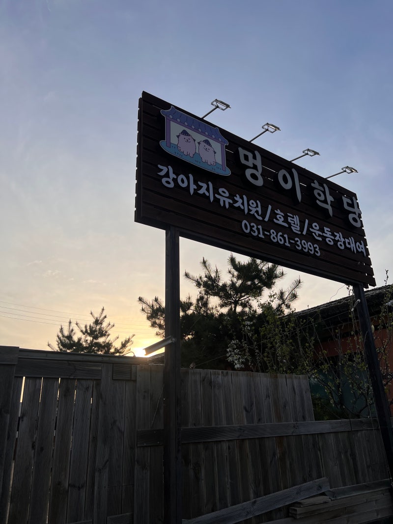 멍이학당 애견유치원