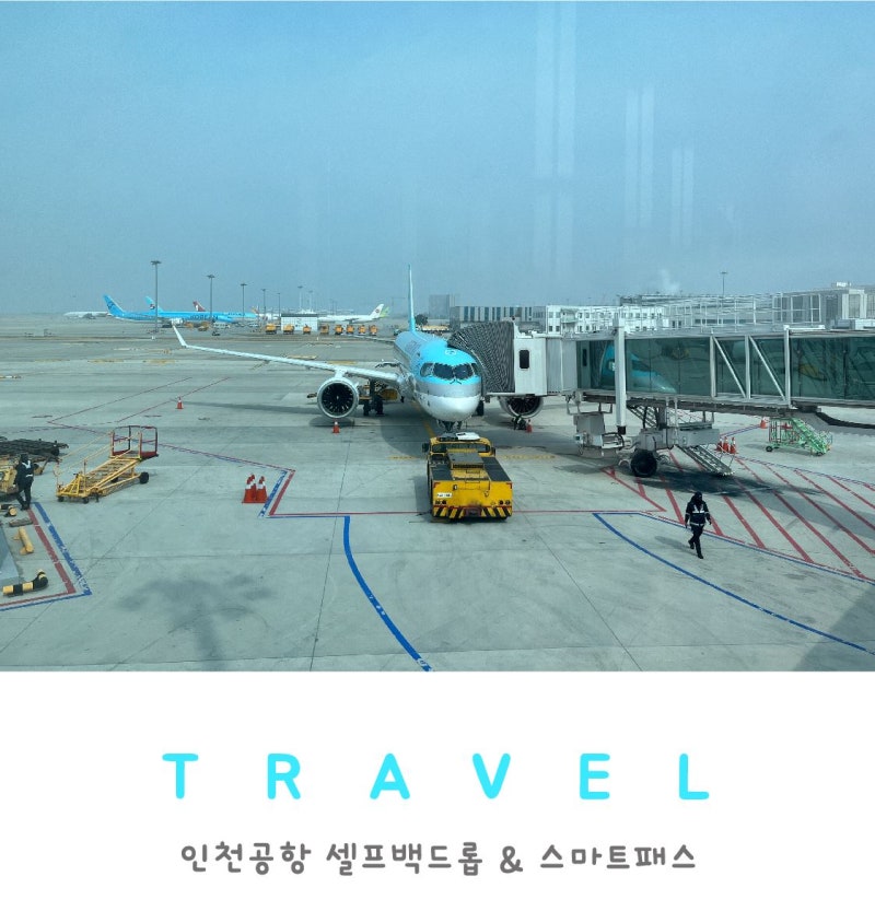 인천공항 제2터미널 셀프백드롭·스마트패스 후기｜출국시간 단축 꿀팁 총정리