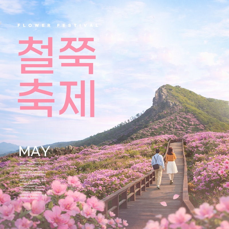 사진 3