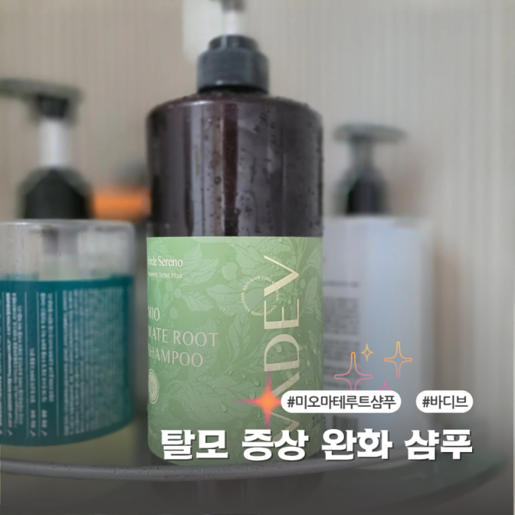 바디브 마테 루트 샴푸 탈모샴푸 순위에서 왜 인기인지 직접 사용기