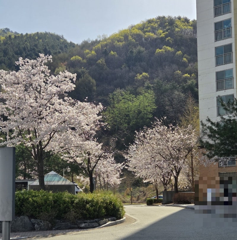 사진 3