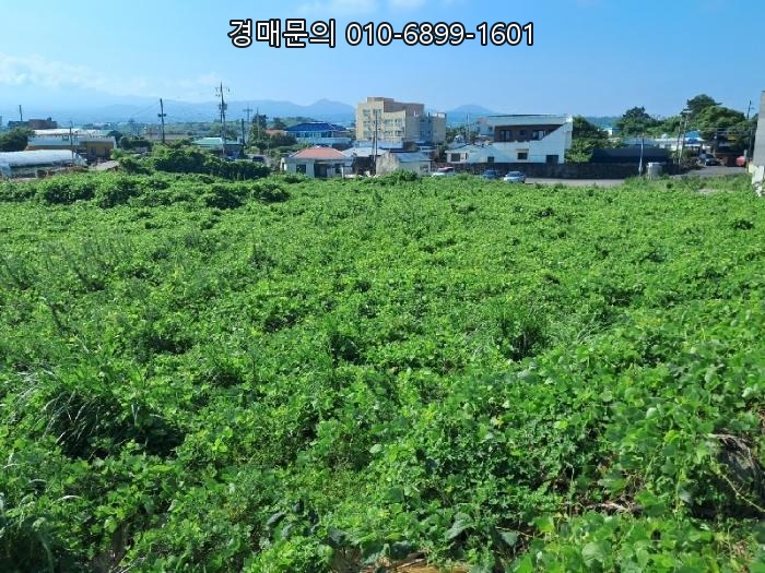  제주 애월읍 신엄리 토지(전) 지분경매, 사건번호 2024타경8692