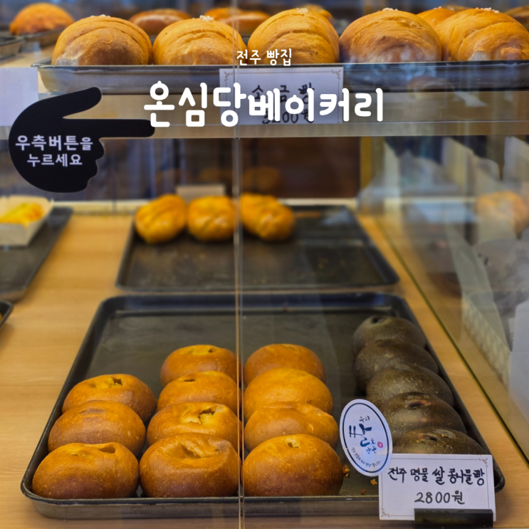  천하제빵 전주 빵집 온심당베이커리 콩나물빵 식혜빵 솔직 리뷰
