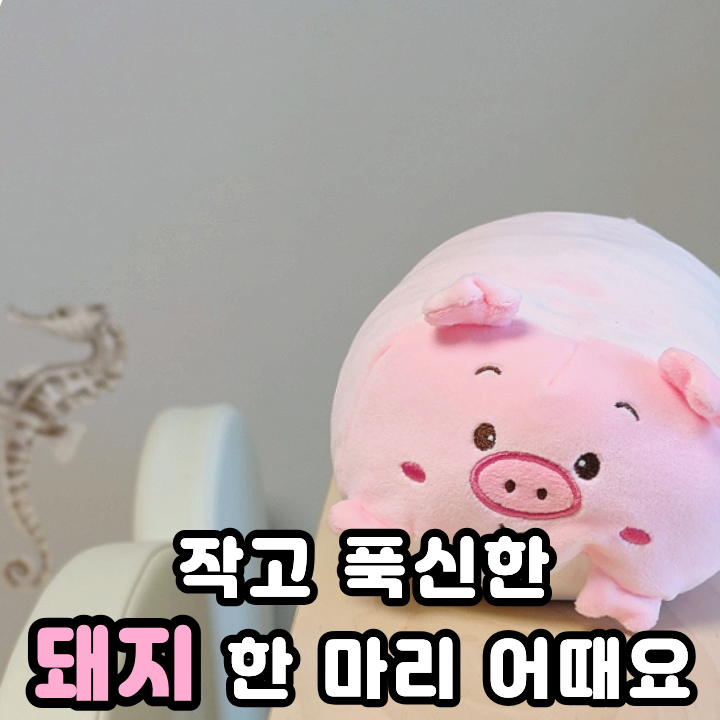  미니 침대쿠션 가볍게 들고 다닐만한 동물쿠션 인형
