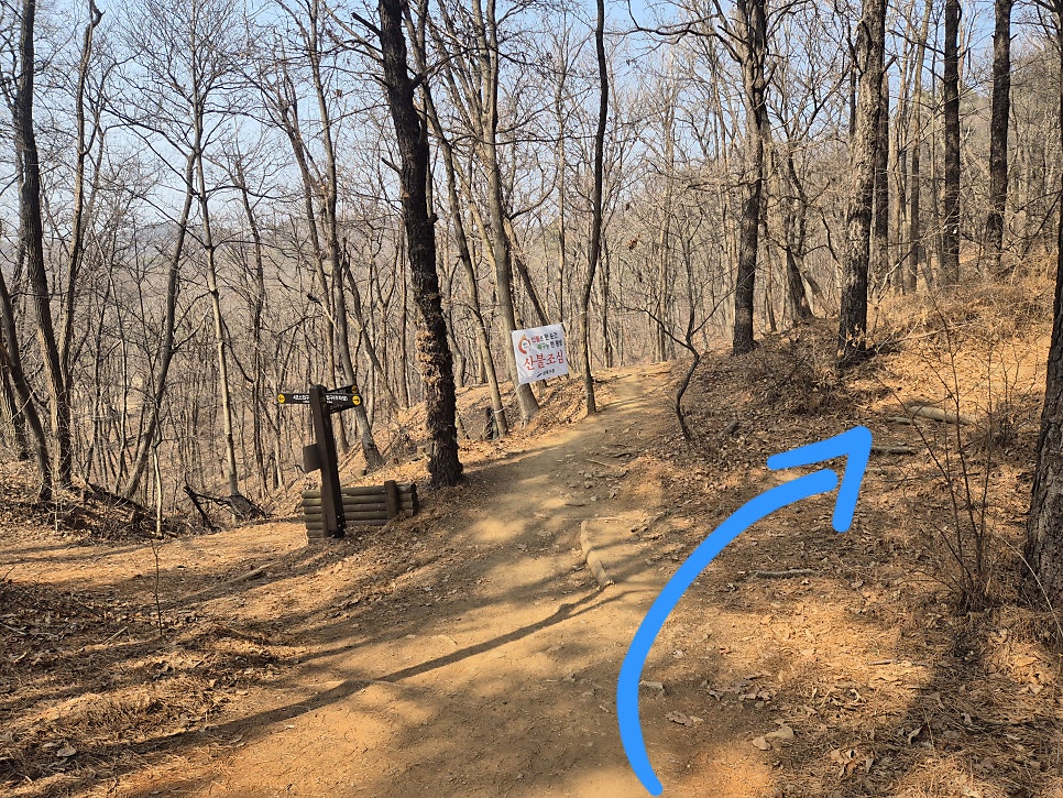 부산돼지국밥 사진 4