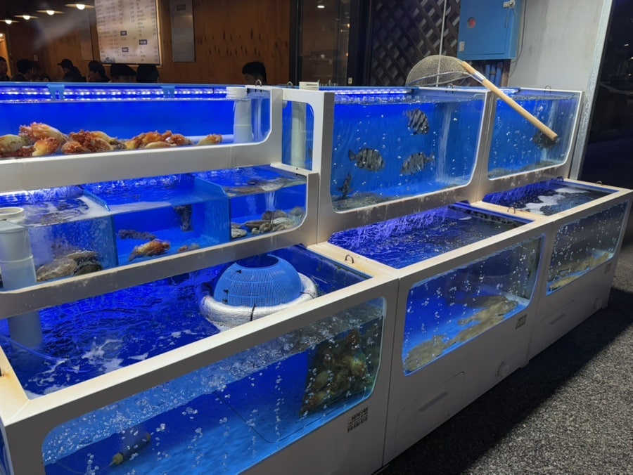 청년횟집 사진 3
