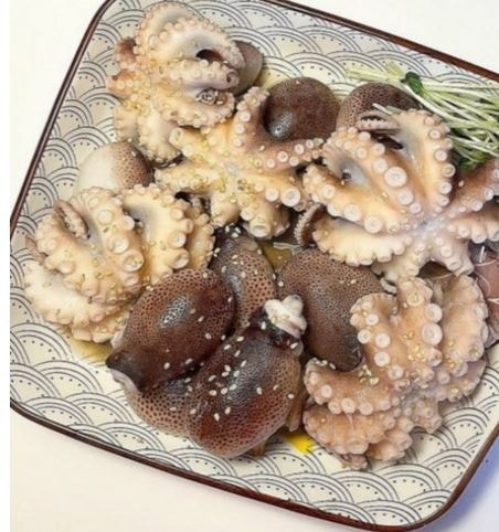 산지직송 국내산 활 쭈꾸미 국산 1kg 2kg 알배기 알쭈꾸미