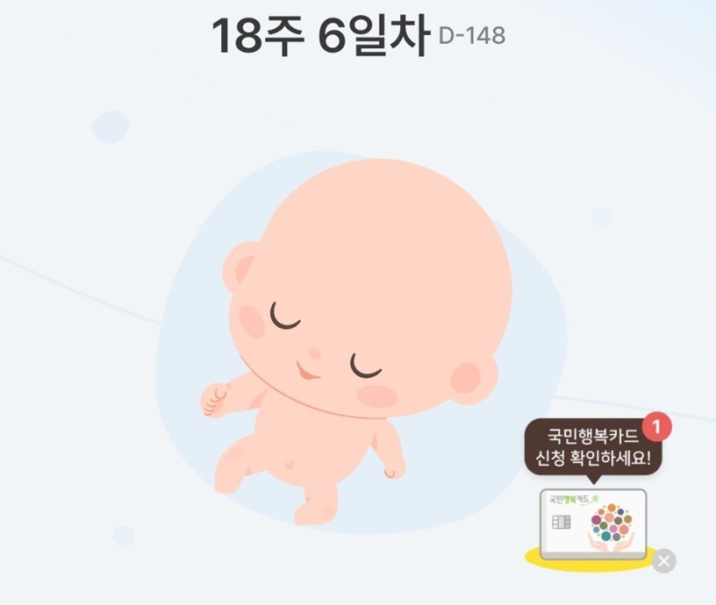 니프티 검사 후 쿼드 검사, 신경관 결손 또 해야 할까? 각 검사 목적 및 순서 정리