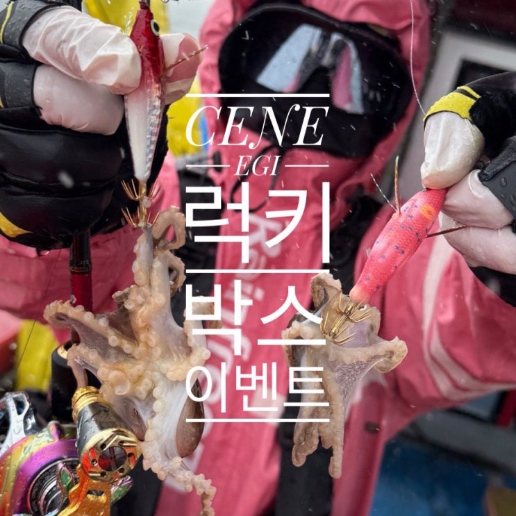  세네 ‘럭키박스’ 이벤트! 에기를 사면 선물이 따라와요.