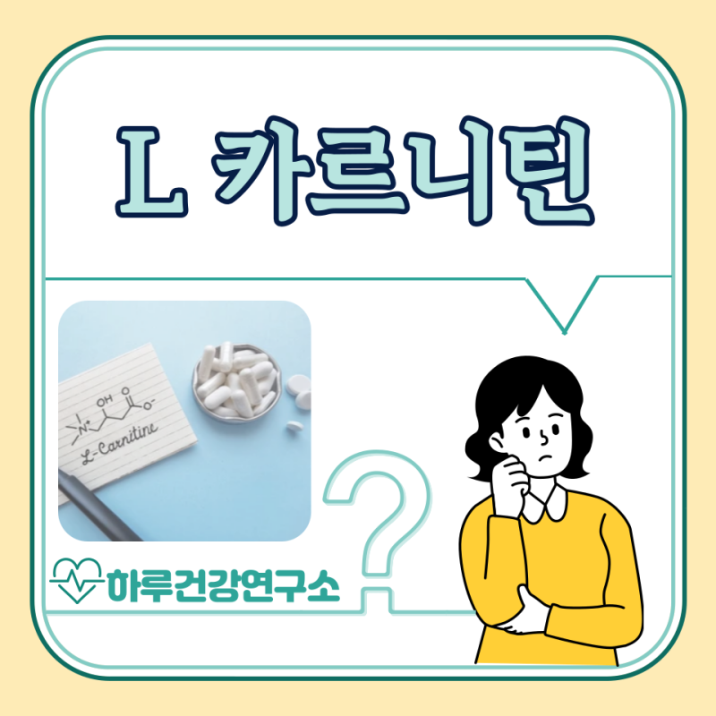 L카르니틴 효능 5가지, 부작용, 복용법, 먹는 시간