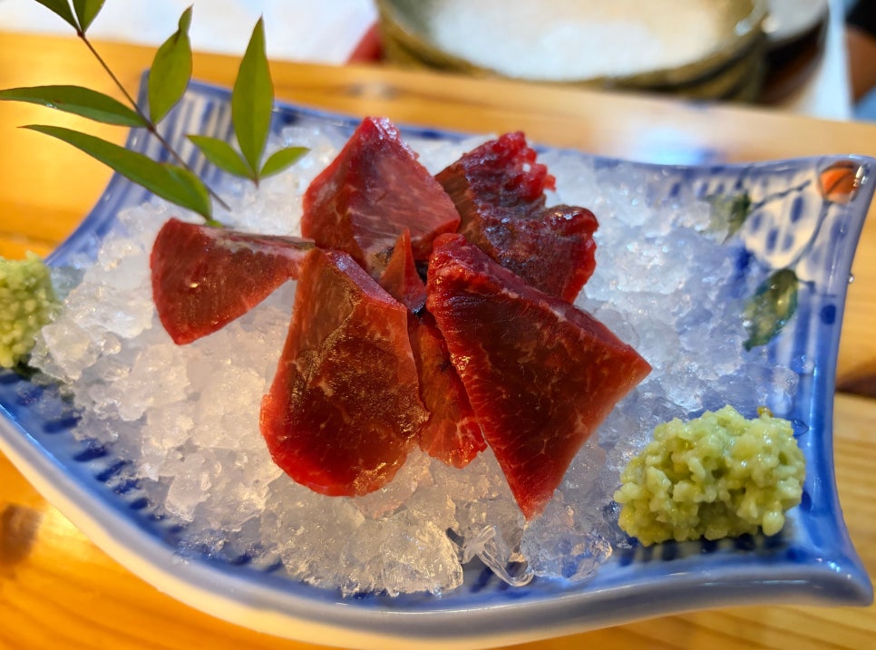 윤참치 사진 2