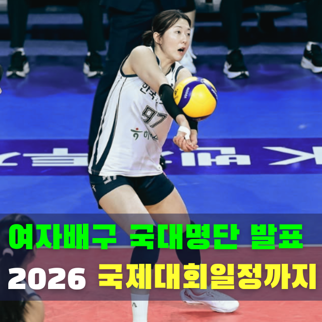 2026 여자배구 국가대표 선수 명단 발표, 14명만 선발 (국제 대회 일정 포함)