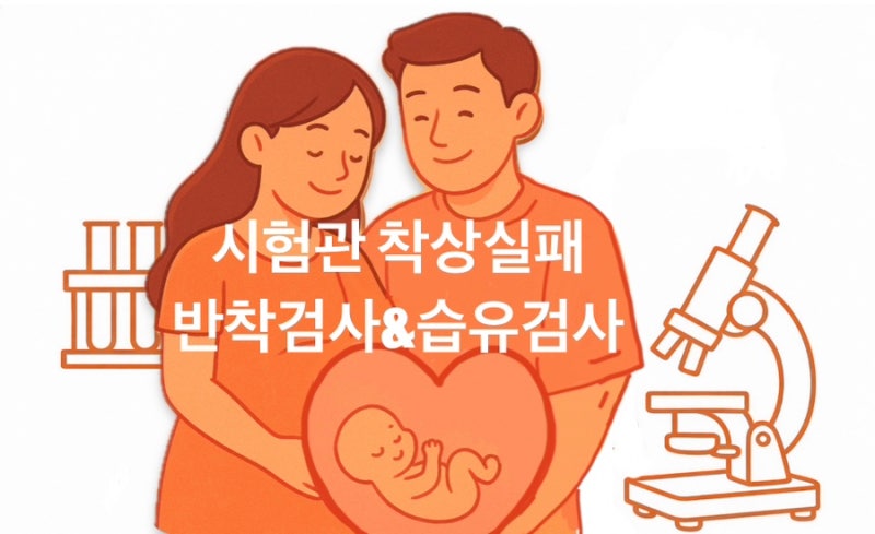 시험관 착상 실패 원인 총정리｜반착검사 vs 습유검사 차이 한눈에