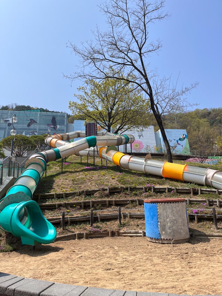  대구 근교 실내 아이랑 무료 구미에코랜드 모노레일 다자녀할인
