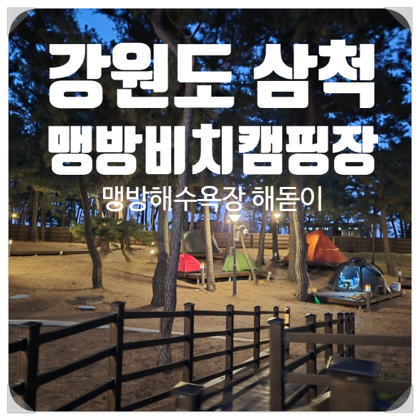 강원도 삼척 해돋이명소 맹방해수욕장 근처 맹방비치캠핑장 B8사이트
