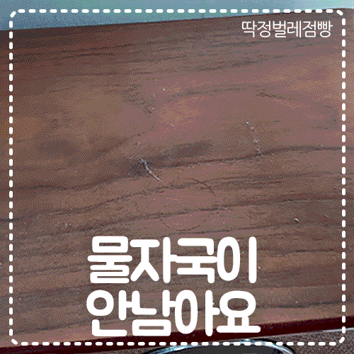 손자국 물자국 굿바이! 다이소 유리세정티슈 내돈내산 리뷰