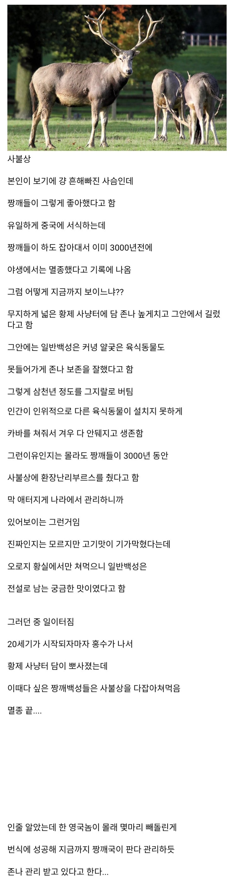  중국이 멸종시키고 영국인이 복원한 요상한 동물