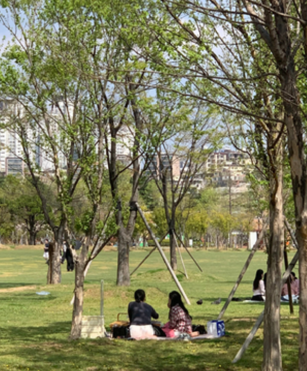  부산 어린이날 행사와 가볼만한 곳 모음 (피크닉 시민공원 어린이대공원 영화의전당)