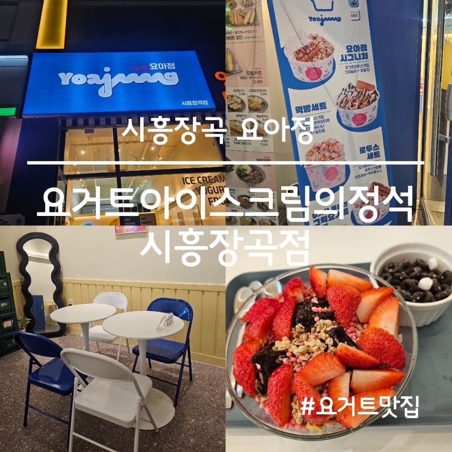요거트아이스크림의정석 시흥신천점 사진 1