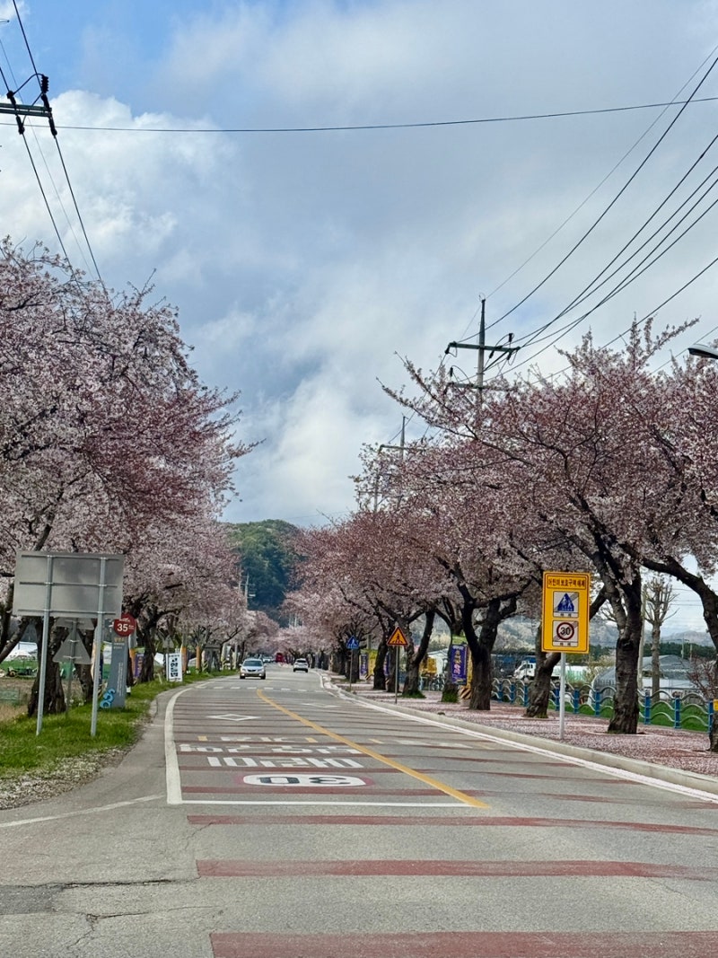 사진 2