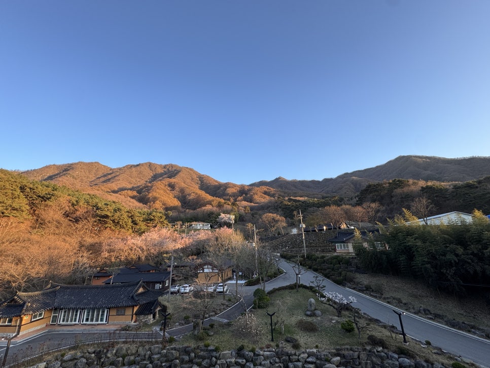 웰니스호텔 인산가 사진 5